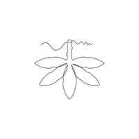 one line art cassava illustration. line art, one continuous line, simple, hand drawn and sketch style. for icons, symbols, signs or logos vector