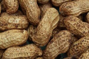 Raw peanuts in shell with natural texture and copy space perfect for food or rustic background photo