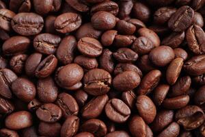 Coffee beans for export or import food product. photo