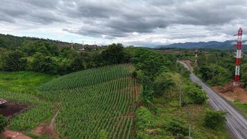 Captured moments after rainfall, this aerial clip shows peaceful farmland and gently sloping hills under a cloudy sky. Great for documentaries or background visuals. video