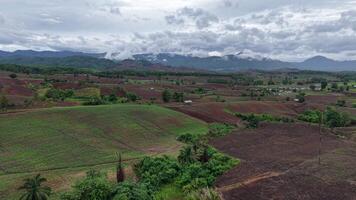 Drone footage showing dark clouds looming over a wide forest-covered valley. Moody and natural visual perfect for storytelling. video