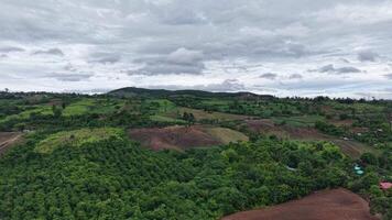 Smooth drone flyover of a fresh, rain-soaked mountain forest. Tranquil scenery with layers of green under soft cloud cover. video