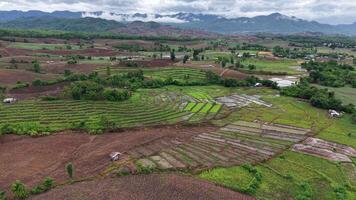 Wide-angle aerial shot of peaceful farmlands, scattered trees, and distant mountain views after rain, with soft light filtering through the clouds. video