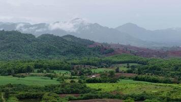 Captivating drone footage of mist-covered mountains and vibrant green forest after a rain shower. Calm and serene atmosphere. video