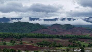 Beautiful drone footage showcasing lush rice fields, rustic paths, and mountain ridges beneath a dramatic sky after rainfall. video