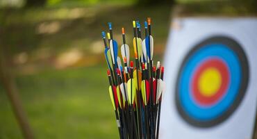Colorful Arrows and Target at Archery Practice in Open Outdoor Setting photo