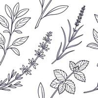 Seamless hand drawn botanical herb pattern design vector