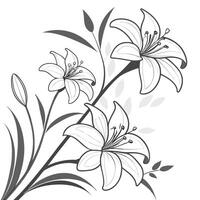 Elegant monochrome lily design with delicate linework vector