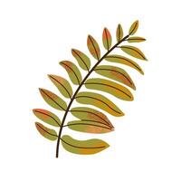 Flat illustration of rowan autumn leaf for web design. Close-up elements for design decoration. Print for t-shirts, poster, flyer, brochure, banner vector
