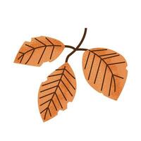 Forest Leaf, garden design element. Drawing in simple flat style vector