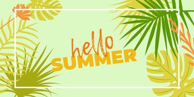 Hello summer abstract background with tropical leaves vector