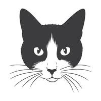 A black and white cat's face is shown on a white background vector