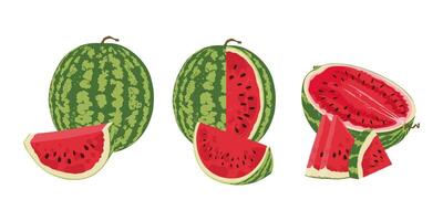 Set with watermelon slices. Watermelon slices hand drawn. Whole watermelon with a piece in the foreground. vector