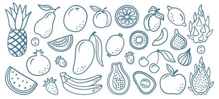 Hand-drawn doodle illustration of assorted fruits like pineapple, mango, and dragon fruit in blue line art, ideal for healthy eating, tropical themes, and food-related designs. vector