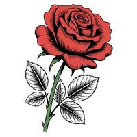 Bold Red Rose with Clean Lines. vector