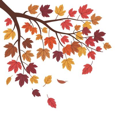 Autumn leaves falling from a tree branch