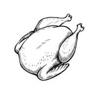 Raw whole chicken with visible skin and legs, presented on a plain background. Ideal for culinary or food-related themes. vector