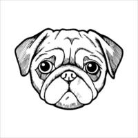 A detailed illustration of a pug's face. The dog has a wrinkled forehead, large round eyes, and a short snout. Its ears are floppy and the expression is curious. vector