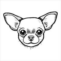 Illustration of a Chihuahua dog head. The drawing features large, expressive eyes and prominent ears. The style is simple and monochrome, emphasizing the dog's facial features. vector