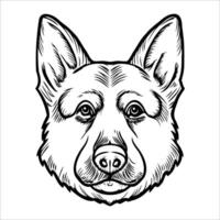 Illustration of a German Shepherd dog head. The design features prominent ears, expressive eyes, and a strong muzzle. The style is detailed and monochrome, emphasizing the dog's features. vector