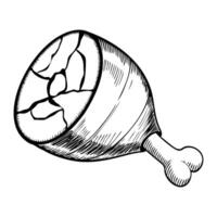 A sketched illustration of a meat leg, showcasing its texture and bone structure. The meat appears juicy and well-defined, emphasizing its culinary appeal. vector