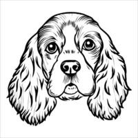 Illustration of a Cocker Spaniel dog with long ears and expressive eyes. The dog has a friendly expression and a fluffy coat, showcasing its distinctive features. vector
