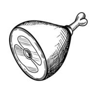 A detailed illustration of a meat cut, showcasing a round ham with a bone. The texture is visible, emphasizing the marbling and quality of the meat. vector