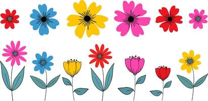 minimalist summer flowers set isolated bright colorful bloom elements for web design decor digital illustration botanical collection vector