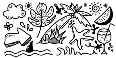 A collection of various items related to the beach and summer such as palm trees, starfish, ocean waves and more. vector