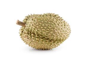 Ripe Durian fruit isolated on white background with Clipping path. photo