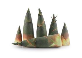 Raw bamboo shoot on white background with clipping path, Fresh Green Bamboo Shoot., photo