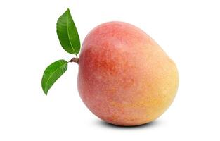 Mango with leaves isolated on white background with clipping path, Fresh mango fruit. photo