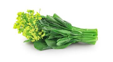 Choy sum, a kind of chinese vegetable in isolated background with clipping path, Freshly Harvested Bunch of Vibrant Green Choy Sum Tied with Twine, Caisim, Chinese flowering cabbage, Bok Choy photo