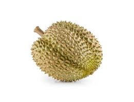 Ripe Durian fruit isolated on white background. Clipping path photo