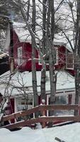 Landmark Patagonia Forest at Ushuaia Tierra Del Fuego Argentina.. Awesome Scene. video