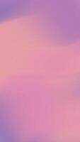 Blurry pink and purple background suitable for feminine designs, romantic concepts, or soft textures in graphic design projects. Texture background. video