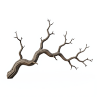 Dry leafless tree branch with multiple twigs isolated on transparent background for nature and autumn themes png