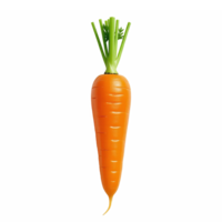 Fresh Orange Carrot with Green Toproots on Transparent Background Clipping Path png