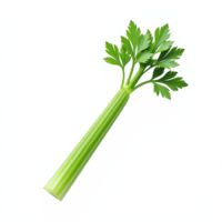 Fresh Celery Stalk with Green Leaves Isolated on Transparent Background png
