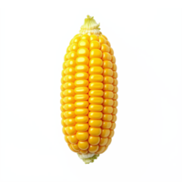Bright yellow corn on cob with husk removed isolated on transparent background png