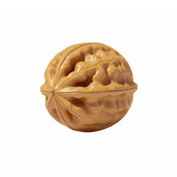 Realistic 3D render of a walnut with a transparent background showing detailed shell texture png