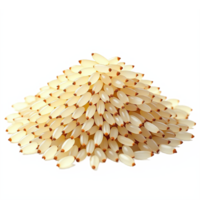 Pile of Pine Nuts with Transparent Clipping Path for Culinary and Nutrition Use png