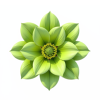 Vivid Green Flower with Multiple Petals and Detailed Center in Transparent Background png