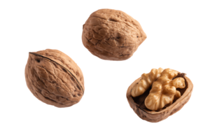 Walnuts in Shell and Without Shell on Transparent Background Isolated png