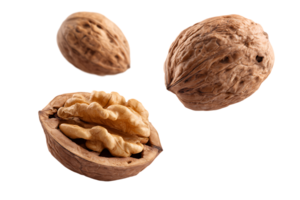 Isolated Whole Walnuts and Walnut Halves on a Transparent Background for Design png