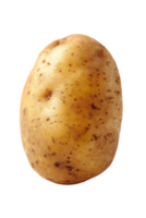 Isolated Fresh Organic Raw Potato Image On a Transparent Background for Design Purpose png