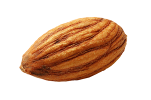 Single Almond Nut Isolated On Transparent Background Close Up Detailed Studio Shot png