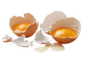 Cracked Eggshells with Yolk on Transparent Background Ready to Use png