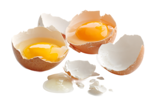 Broken Eggshells with Yolks Food Ingredient Raw Egg Protein Isolate Transparent Background png