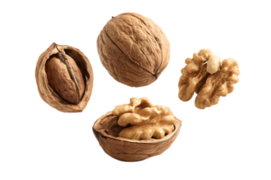 Whole and Broken Walnut Pieces Isolated on a Transparent Background Image png